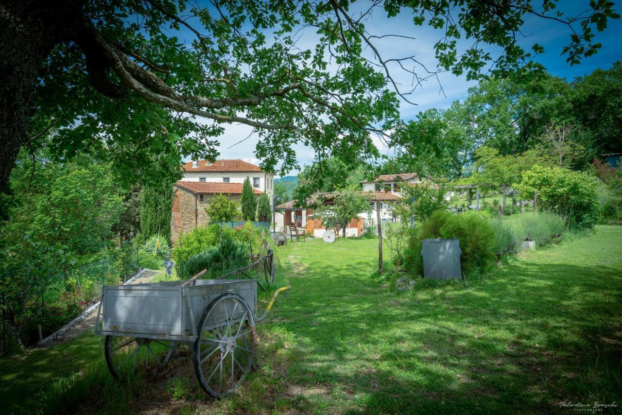 Agriturismo Corzano Барберино-ди- Муджелло Экстерьер фото